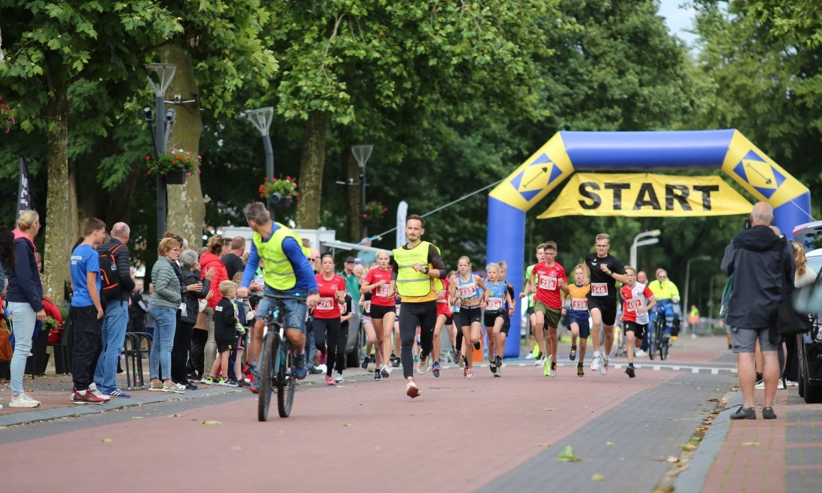 Singelloop